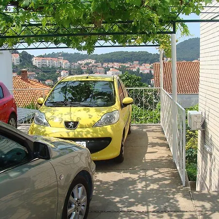 Guest house Jele 3*
