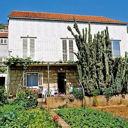Jele Guest house